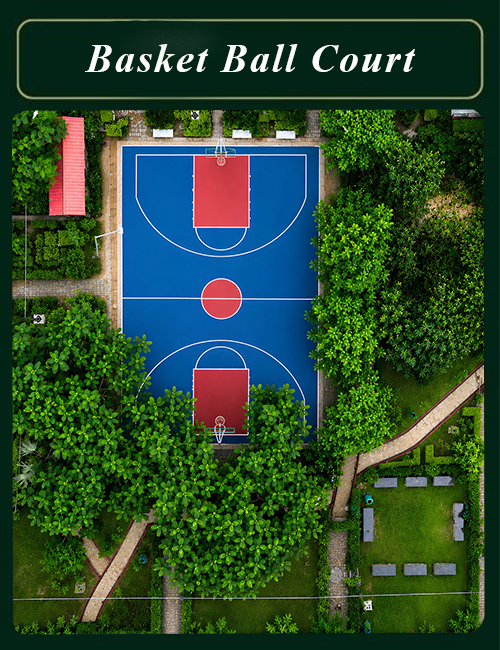 Basket Ball Court