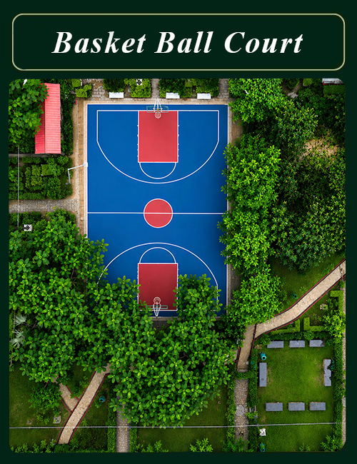 Basketball Court