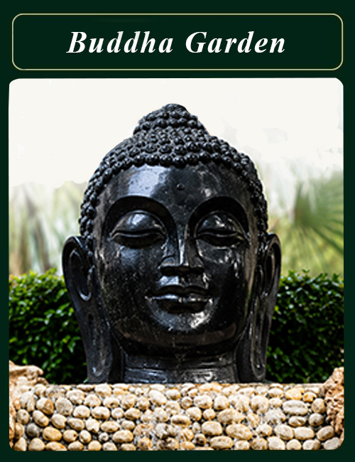 Buddha Garden