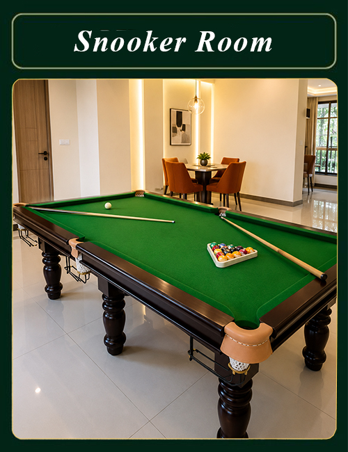 Snooker Room