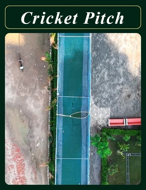 cricket pitch