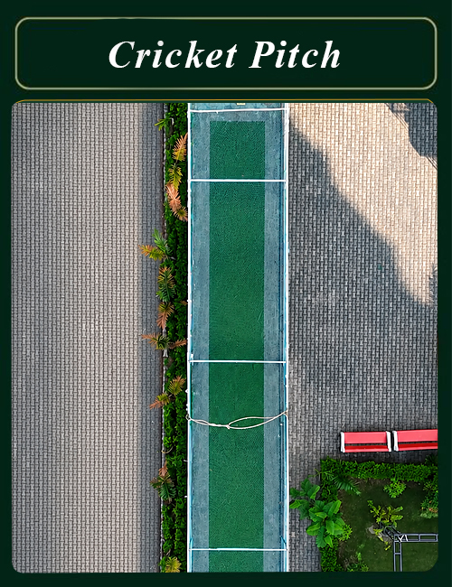 cricket pitch