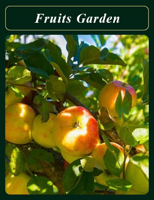 fruits garden