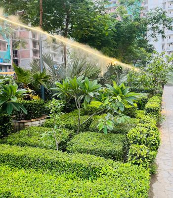 Luxury Flats in raj nagar extension flats in raj nagar extension